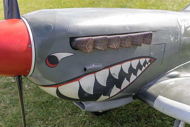 18620897 1944146345819716 4681623307121710413 o