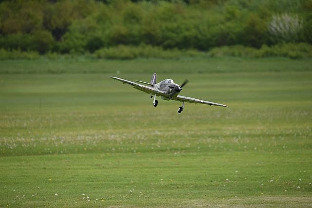 Photo43
