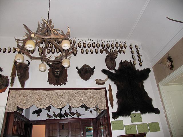 15 Trophy Room