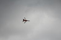 IMG 2768