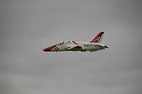 IMG 2875