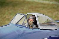 IMG 2919