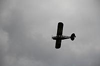 IMG 2929