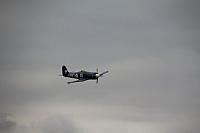 IMG 3021