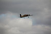 IMG 3035