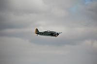 IMG 3071