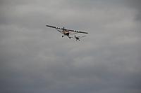 IMG 3107