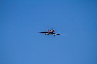 18518356 1944137802487237 4078739073955777107 o