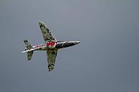 18527209 1943743072526710 2481482896473931520 o