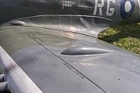 18527244 1944146389153045 3794739711505395446 o