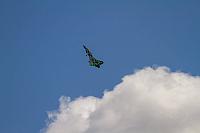 18527382 1944134052487612 5089822226126850799 o