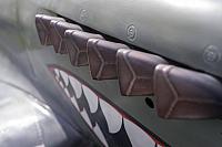 18556472 1944146019153082 7217502473141127702 o