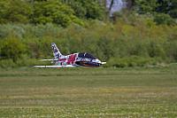 18556485 1943743329193351 1031623711055627718 o