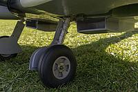 18556556 1944146562486361 5592640246474449256 o