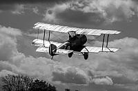 18556611 1943732529194431 4654385314336699050 o