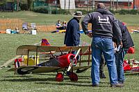 18556836 1943732532527764 4203014727603228480 o