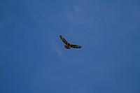 18558888 1943745409193143 1663756591672226362 o