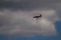 18595215 1944137525820598 6673881270021335707 o