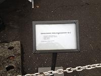 IMG_2296.JPG