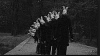 Rabbit People