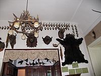 15 Trophy Room
