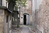 7 Backyard